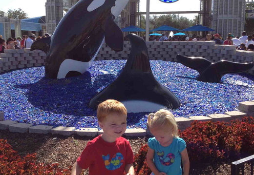 sea world